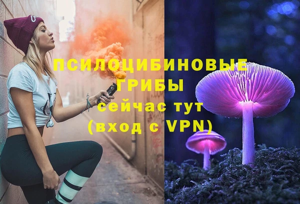 СК Армянск