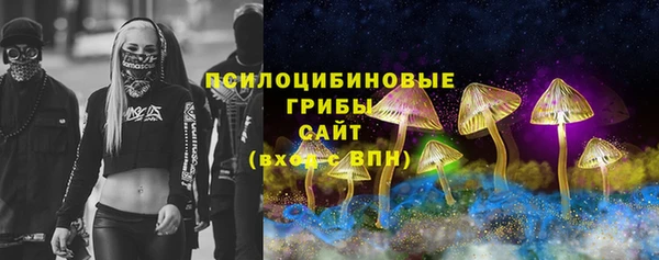 ПСИЛОЦИБИНОВЫЕ ГРИБЫ Арсеньев