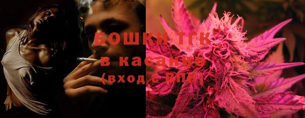 ПСИЛОЦИБИНОВЫЕ ГРИБЫ Арсеньев