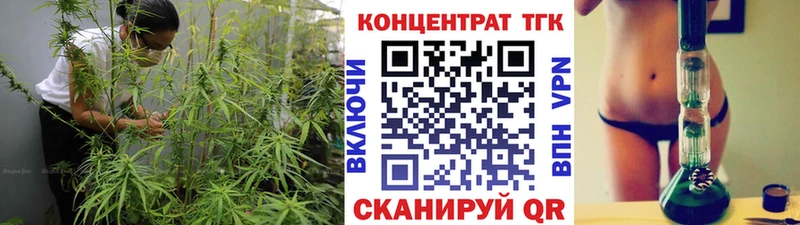 ТГК Wax Усмань